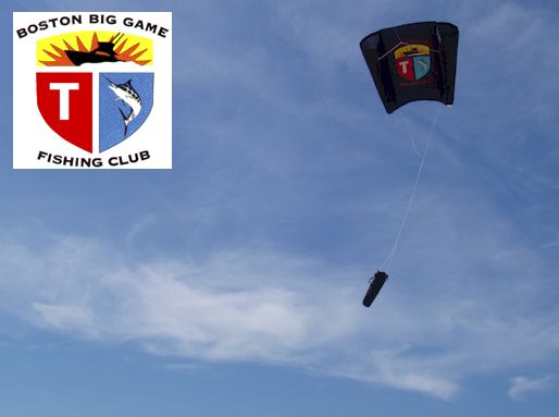 https://reeleasyinc.com/wp-content/uploads/2016/02/boston_big_game_fishing_kite.jpg